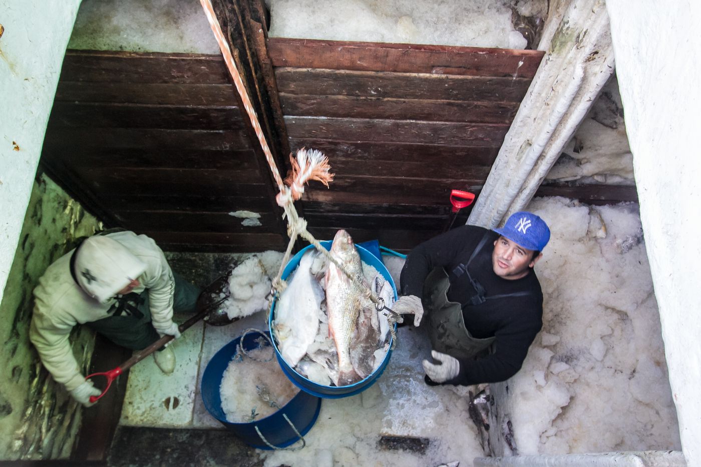 Descarga de barco pesqueiro em cooperativa da indústria da pesca. Santa Catarina, 2014.